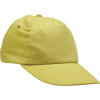 8968850636830-03140007_LEO_yellow_CERVA 2016_14920.tif.png